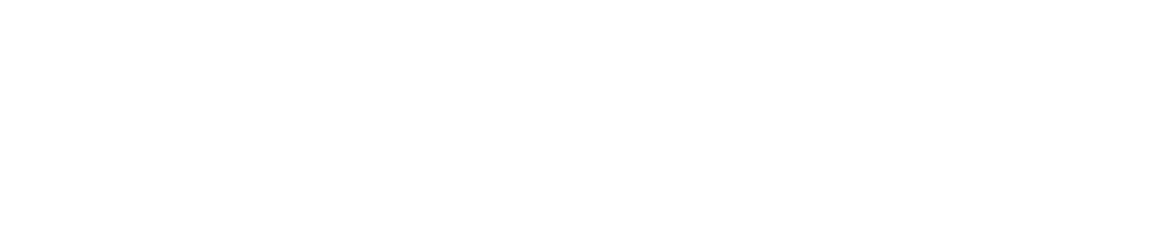 Universidade Sal da Terra
